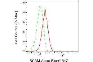 Flow cytometric analysis of BCAM expression in HAP-1 cells using BCAM antibody (ABIN7797732), 1:2,000). (Rekombinanter BCAM Antikörper)