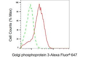 Flow cytometric analysis of Golgi phosphoprotein 3 expression in HepG2 cells using Golgi phosphoprotein 3 antibody (ABIN7798794), 1:2,000). (GOLPH3 Antikörper)