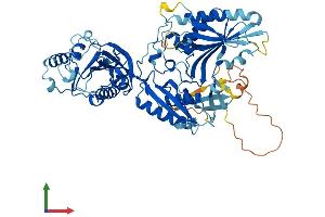 AlphaFold protein structure predicition of Human Recombinant FDXACB1 Protein, UniprotID Q9BRP7