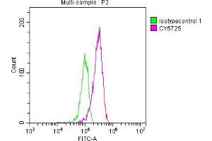 Flow Cytometry (FACS) image for anti-Topoisomerase (DNA) I (TOP1) antibody (ABIN7127850)