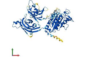 Protein Structure (PS) image for Copine IX (CPNE9) (AA 1-553) protein (His tag) (ABIN7546797)