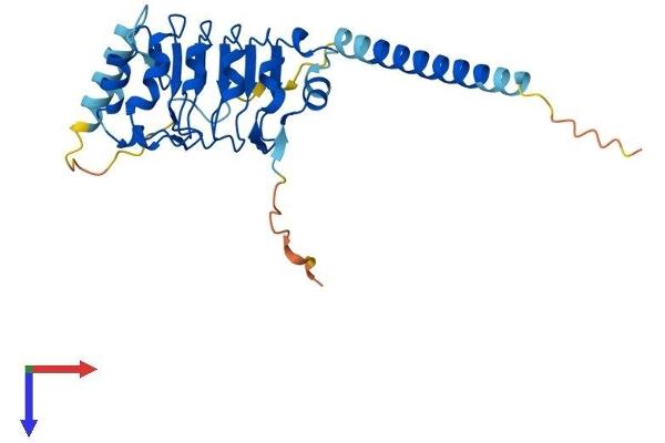 LRRC61 Protein (AA 1-259) (His tag)