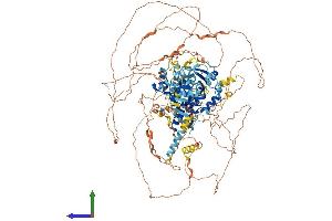 Protein Structure (PS) image for Hairless (HR) (AA 1-1189) protein (His tag) (ABIN7554069)