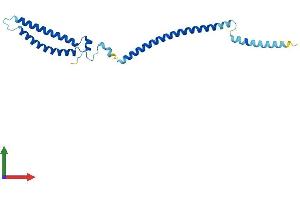AlphaFold protein structure predicition of Mouse Recombinant Mis12 Protein, UniprotID Q9CY25