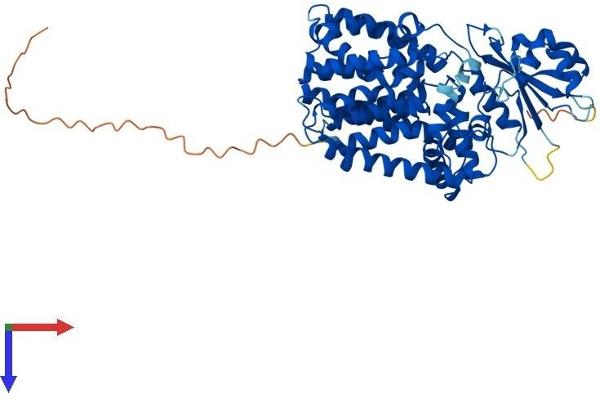 PIGB Protein (AA 1-542) (His tag)