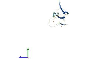 Protein Structure (PS) image for Golgin A1 (GOLGA1) (AA 1-767) protein (His tag) (ABIN7548147)