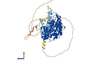 Protein Structure (PS) image for serine/arginine-Rich Protein Specific Kinase 3 (SRPK3) (AA 1-565) protein (His tag) (ABIN7556345)