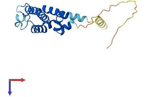 RGS10 Protein (AA 1-181) (His tag)