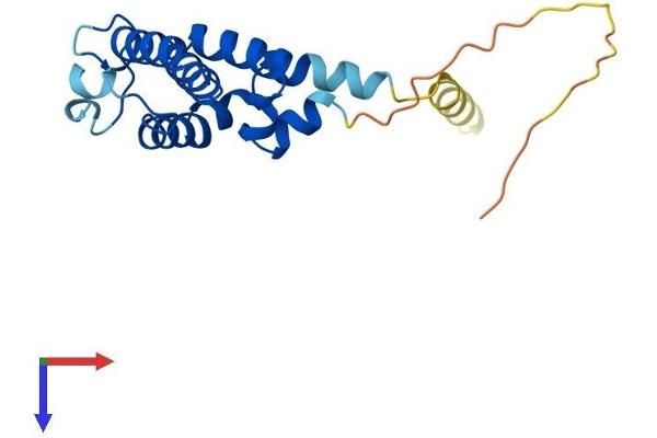 RGS10 Protein (AA 1-181) (His tag)