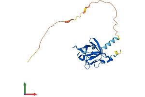 Protein Structure (PS) image for Fibroblast Growth Factor 20 (FGF20) (AA 1-211) protein (His tag) (ABIN7547739)