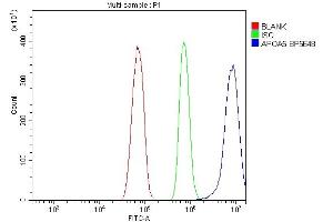 Flow Cytometry analysis of RH35 cells using anti-Apolipoprotein A V/APOA5 antibody (ABIN7602720). (APOA5 Antikörper  (AA 99-217))