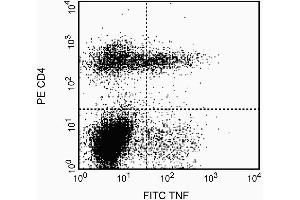 Expression of TNF by stimulated CD4+ and CD4- BALB/c spleen cells. (TNF alpha Antikörper)