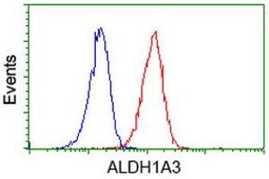 Flow Cytometry (FACS) image for anti-Aldehyde Dehydrogenase 1 Family, Member A3 (ALDH1A3) (AA 1-100), (AA 413-512) antibody (ABIN2715885) (ALDH1A3 Antikörper  (AA 1-100, AA 413-512))
