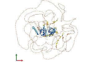 Protein Structure (PS) image for Insulin Receptor Substrate 4 (IRS4) (AA 1-1257) protein (His tag) (ABIN7554194)