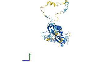 Protein Structure (PS) image for Cytokine Induced Apoptosis Inhibitor 1 (CIAPIN1) (AA 1-309) protein (His tag) (ABIN7559967)