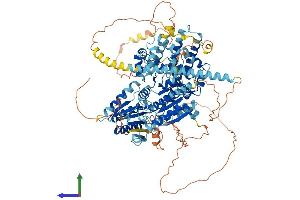 Protein Structure (PS) image for DEAD/H (Asp-Glu-Ala-Asp/His) Box Polypeptide 11 (DDX11) (AA 1-970) protein (His tag) (ABIN7553638)