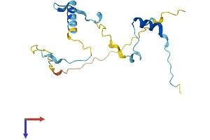 KIAA1143 Protein (KIAA1143) (AA 1-154) (His tag)
