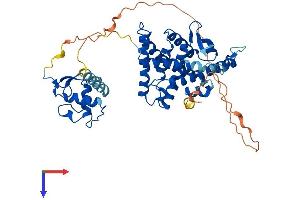 NR1H3 Protein (AA 1-445) (His tag)