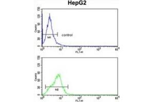 Flow Cytometry (FACS) image for anti-Cytochrome P450, Family 4, Subfamily F, Polypeptide 3 (CYP4F3) antibody (ABIN3003849) (CYP4F3 Antikörper)