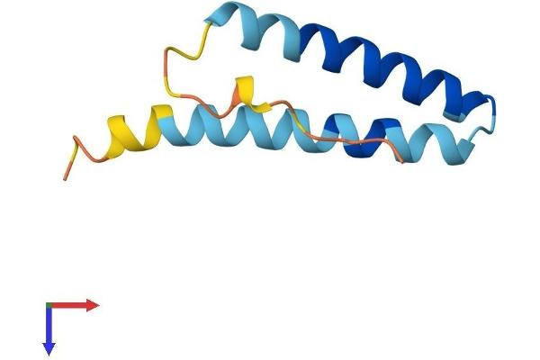 SS18L2 Protein (AA 1-77) (Fc Tag)