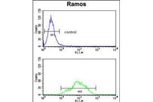 Flow cytometry analysis of Ramos cells (bottom histogram) compared to a negative control cell (top histogram).