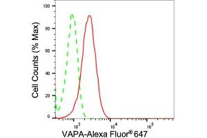 Flow cytometric analysis of VAPA expression in HepG2 cells using VAPA antibody (ABIN7800821), 1:2,000). (Rekombinanter VAPA Antikörper)