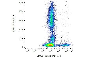Flow cytometry analysis (surface staining) of CD79b in human peripheral blood with anti-CD79b (CB3-1) purified / GAM-APC.