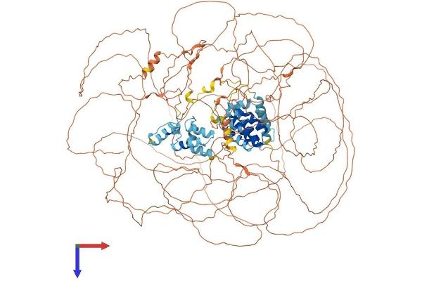 GPRASP1 Protein (AA 1-1347) (His tag)
