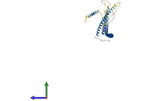 Protein Structure (PS) image for Centrosomal Protein 57kDa (CEP57) (AA 1-500) protein (His tag) (ABIN7559282)