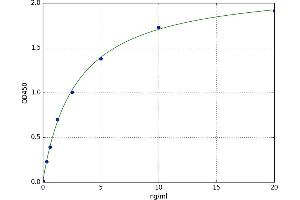 Tachykinin Receptor 2 (TACR2) ELISA Kit