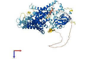CLCN7 Protein (AA 1-805) (His tag)