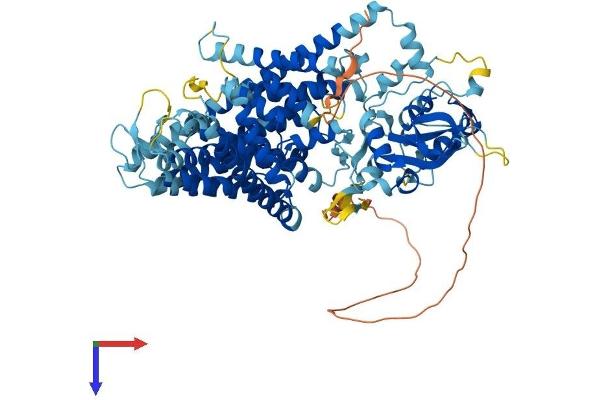 CLCN7 Protein (AA 1-805) (His tag)