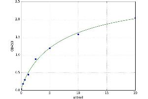 A typical standard curve
