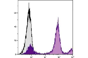 BALB/c mouse bone marrow cells were stained with Rat Anti-Mouse Ly-6C-PE. (Ly6C Antikörper)