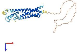TSPAN32 Protein (AA 1-320) (His tag)