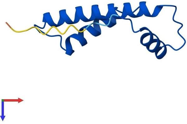CENPW Protein (AA 1-86) (Fc Tag)