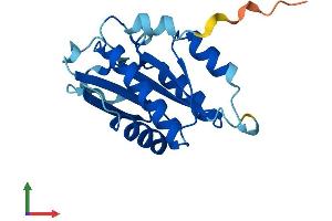 Protein Structure (PS) image for Centromere Protein M (CENPM) (AA 1-180) protein (His tag) (ABIN7560522)