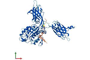 Protein Structure (PS) image for Copine II (CPNE2) (AA 1-548) protein (His tag) (ABIN7546795)