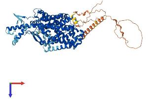 SLC6A17 Protein (AA 1-727) (His tag)