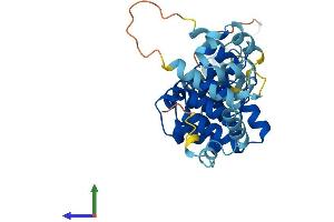 AlphaFold protein structure predicition of Human Recombinant ANKRD9 Protein, UniprotID Q96BM1 (ANKRD9 Protein (AA 1-317) (His tag))