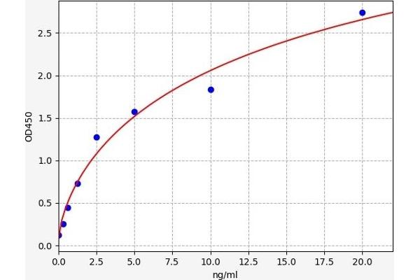 CRHR2 ELISA Kit