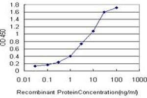 ELISA image for anti-Interleukin-1 Receptor-Associated Kinase 1 (IRAK1) (AA 530-693) antibody (ABIN561510)