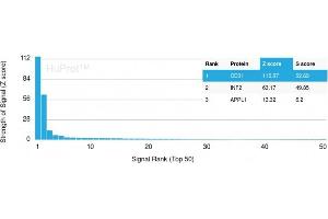 Analysis of Protein Array containing more than 19,000 full-length human proteins using CD31 Mouse Monoclonal Antibody (PECAM1/3529) Z- and S- Score: The Z-score represents the strength of a signal that a monoclonal antibody (MAb) (in combination with a fluorescently-tagged anti-IgG secondary antibody) produces when binding to a particular protein on the HuProtTM array. (CD31 Antikörper  (AA 625-738))
