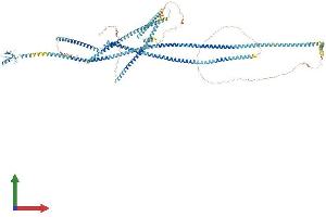 Protein Structure (PS) image for Ring Finger Protein 40, E3 Ubiquitin Protein Ligase (RNF40) (AA 1-1001) protein (His tag) (ABIN7552680)