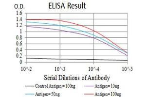 ELISA image for anti-Pyrimidinergic Receptor P2Y, G-Protein Coupled, 4 (P2RY4) antibody (ABIN5611350)