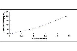 Typical standard curve (Ferritin Mitochondrial ELISA Kit)