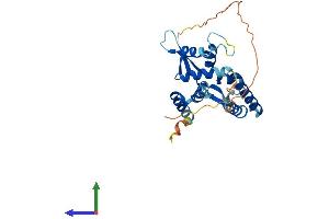 Protein Structure (PS) image for Necdin-Like 2 (NDNL2) (AA 1-304) protein (His tag) (ABIN7549824)