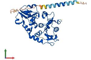 Protein Structure (PS) image for Fucosyltransferase 2 (Secretor Status Included) (FUT2) (AA 1-343) protein (His tag) (ABIN7547811)