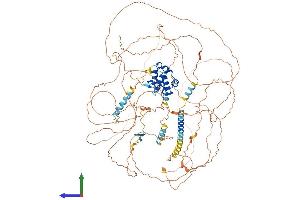 AlphaFold protein structure predicition of Human Recombinant PHC3 Protein, UniprotID Q8NDX5 (PHC3 Protein (AA 1-983) (His tag))