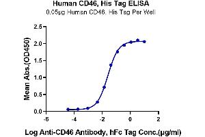 ELISA image for CD46 (CD46) (AA 35-343) protein (His tag) (ABIN7274180)